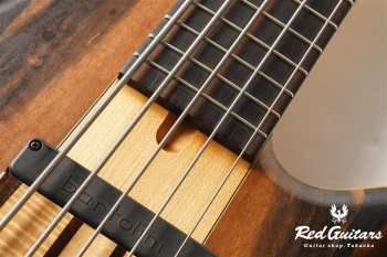 Platinum Series Single-Cut , e-volution 5 - Macassar Ebony